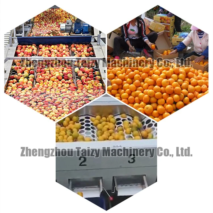 product-750-750 product-750-750