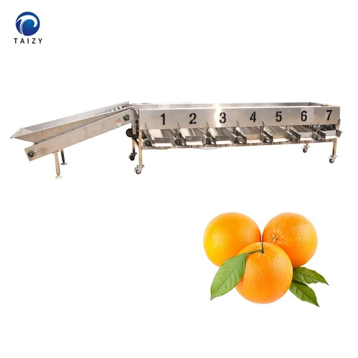 orange sorting machine-3