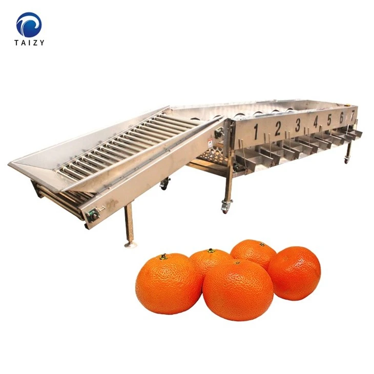 orange sorting machine-4