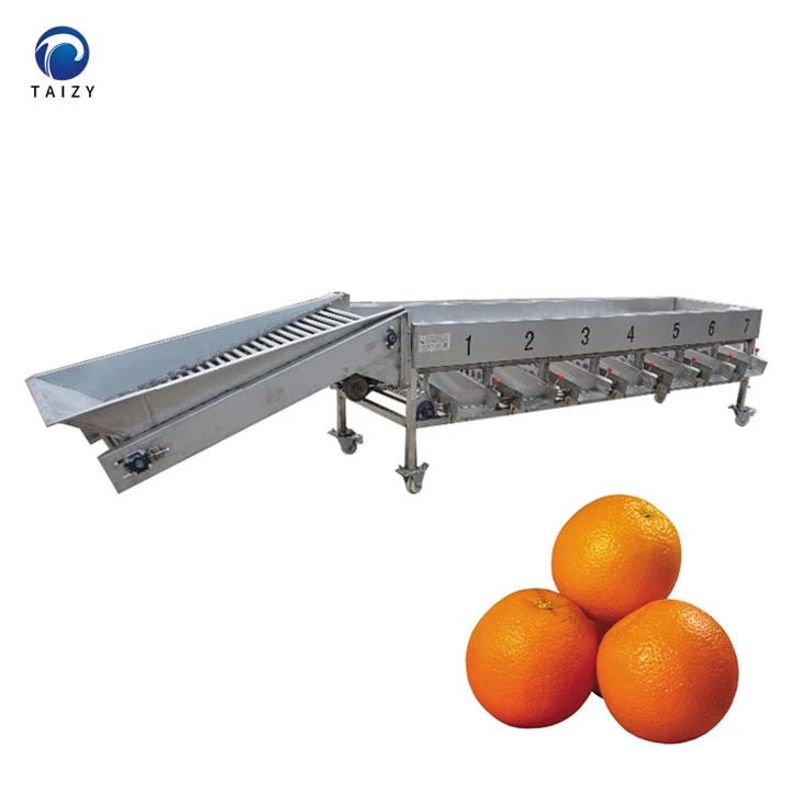 orange sorting machine-2