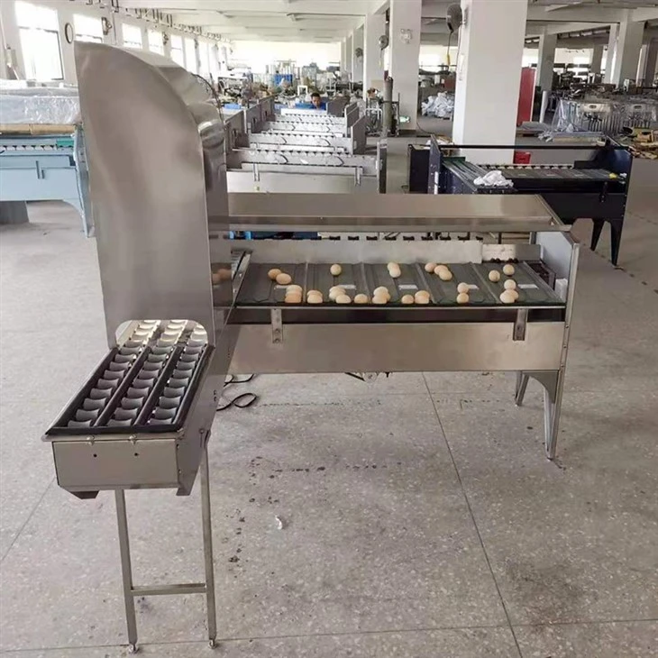 egg sorter (1)