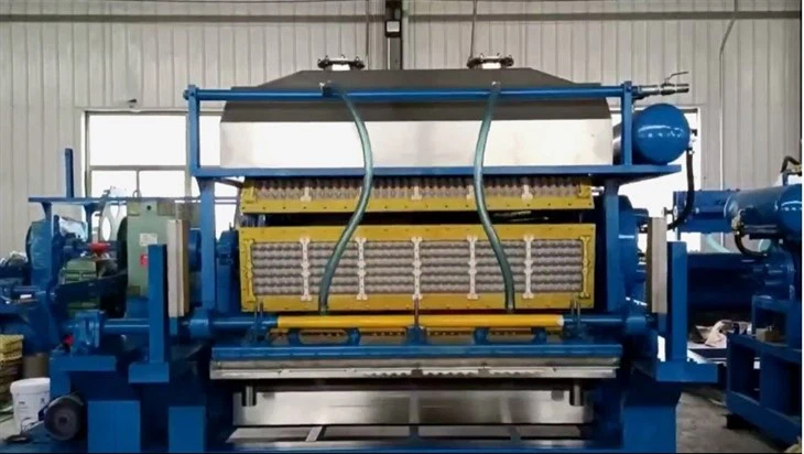 Egg tray making machine4(1)